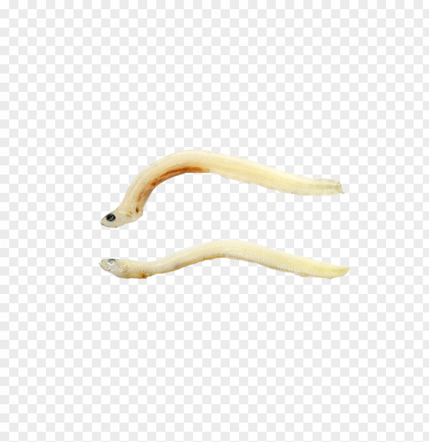 Small Fish In Kind; White Material Yellow Pattern PNG