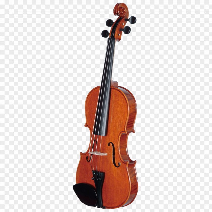Violin Fiddle Musical Instruments Musician PNG