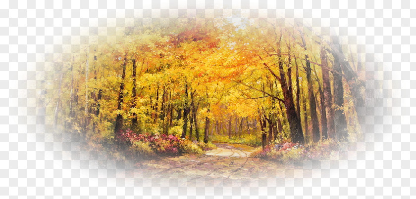 World Wide Web Design Blog Autumn PNG