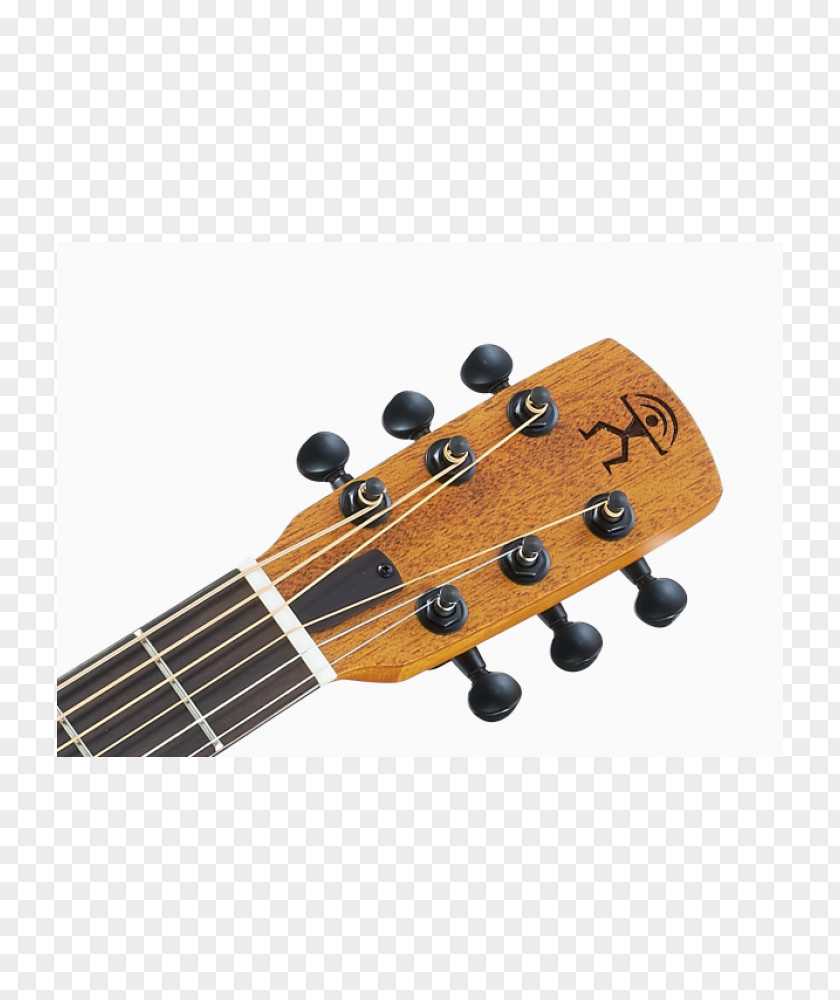 Acoustic Guitar Steel-string Acoustic-electric Ukulele Bass PNG