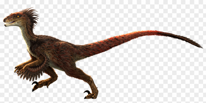 Bearded Dragon Velociraptor Primal Carnage: Extinction Tyrannosaurus Dinosaur PNG