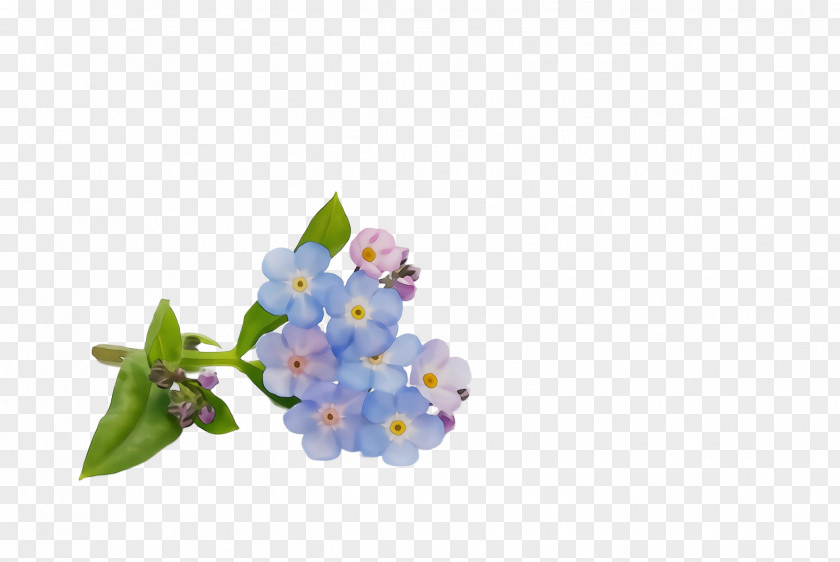 Bouquet Lilac Lavender PNG