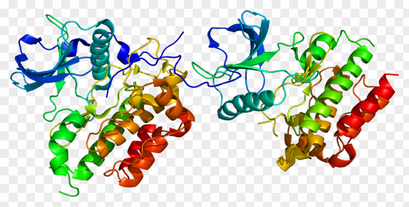 CD117 Stem Cell Factor Mastocytosis Tyrosine Kinase Protein PNG