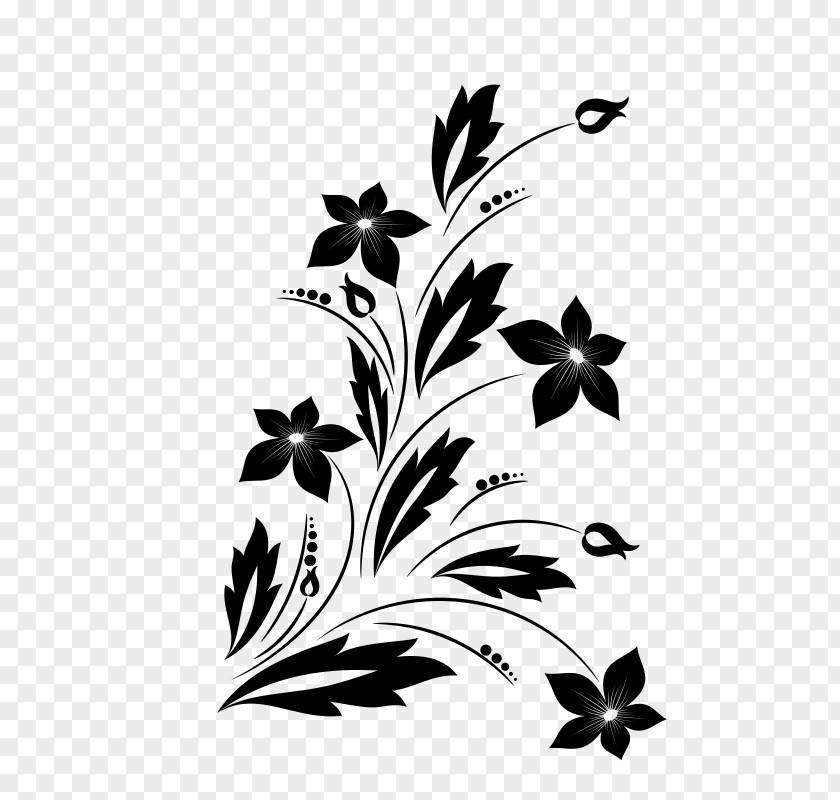 Flower Ornament Photography Clip Art PNG