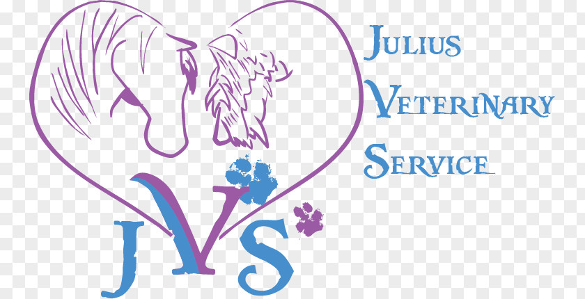 Horse Dog Veterinarian Holistic Veterinary Medicine PNG