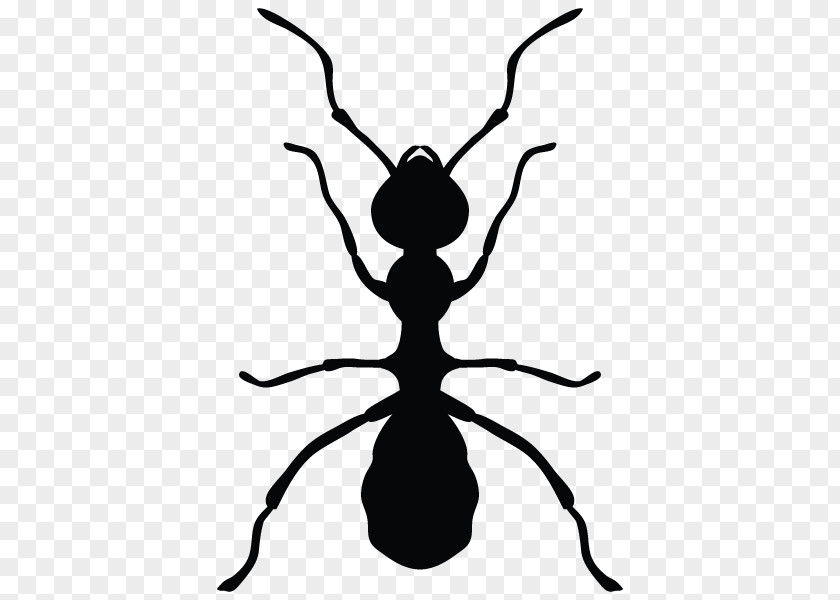 Insect Ant Insecticide Pest Control PNG