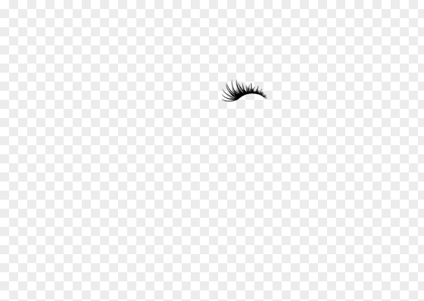 Lashes Black And White Monochrome Photography Eyelash PNG