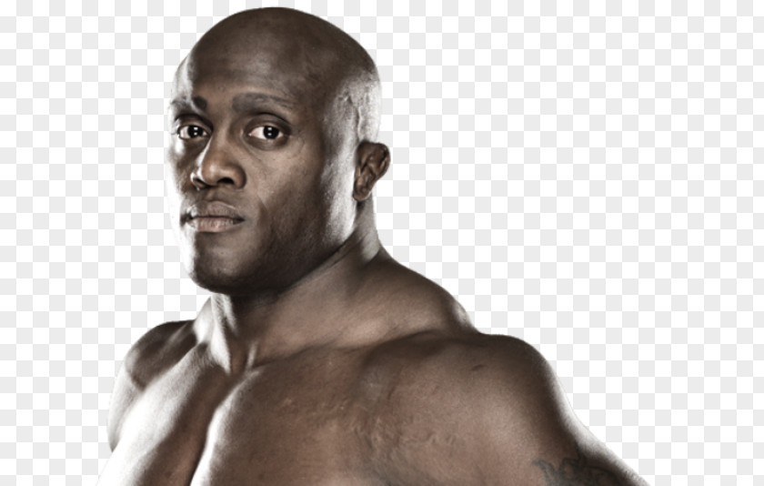 Mixed Martial Arts Bobby Lashley Bellator MMA In 2015 179 PNG