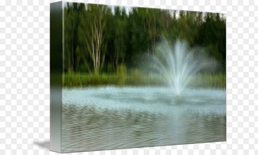 Water Pond Resources Wetland Fountain PNG