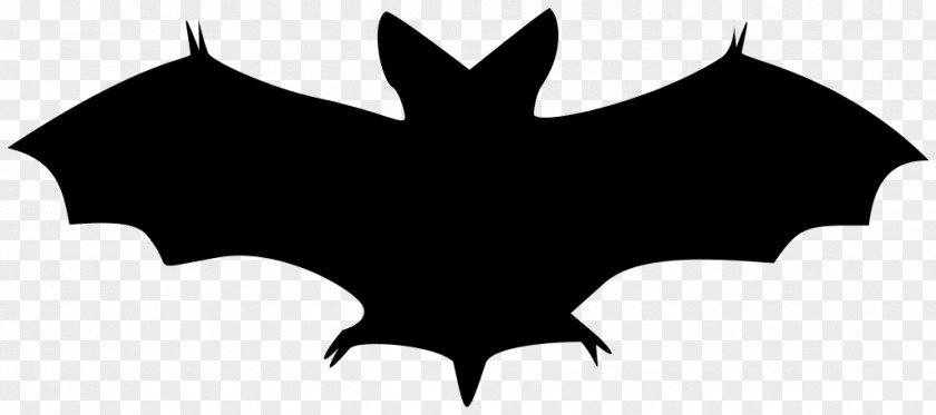 Black Bat Walleye Fishing Silhouette Clip Art PNG