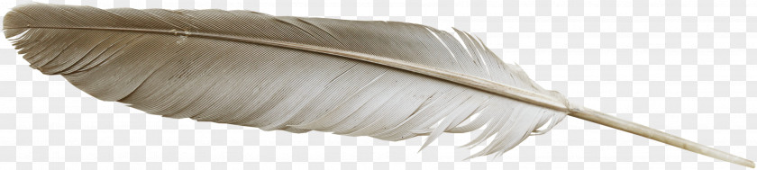 Grey Feather Household Cleaning Supply PNG
