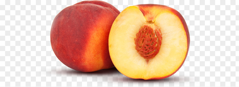 Peach PNG clipart PNG