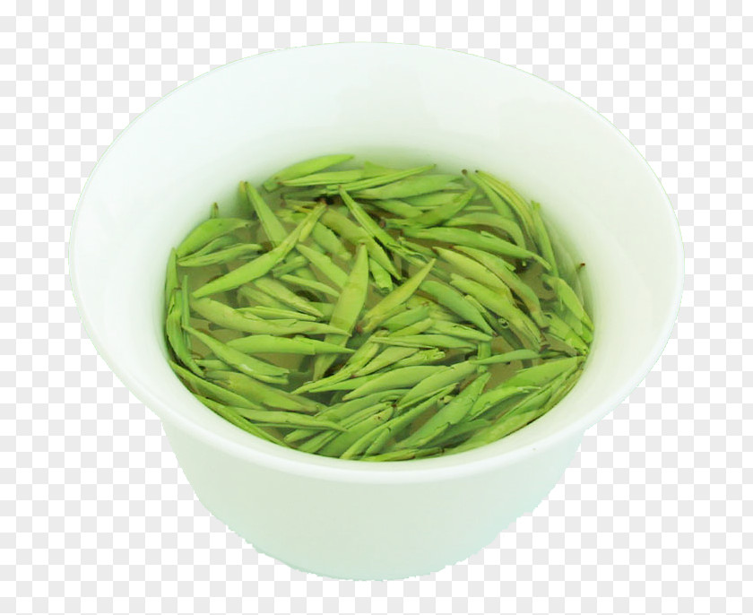 The Green Tea In Bowl Xinyang Maojian Bean PNG