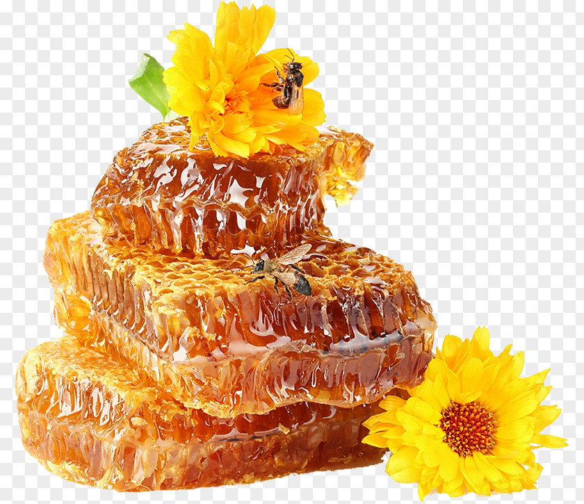 Bee Stay Naturally Healthy With Honey Sweetness PNG