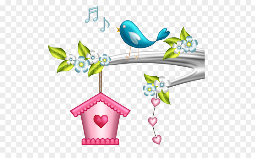 Birdhouse Drawing Cartoon Clip Art PNG