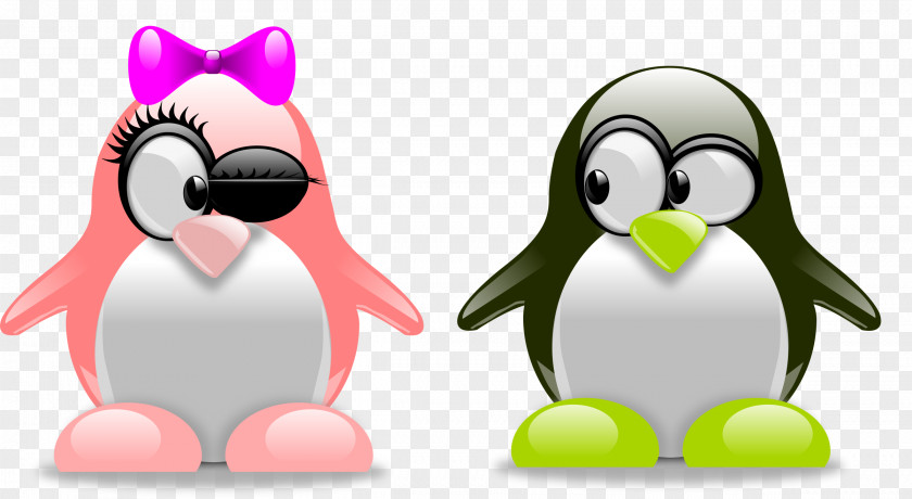 Pinguins Penguin Tuxedo Clip Art PNG
