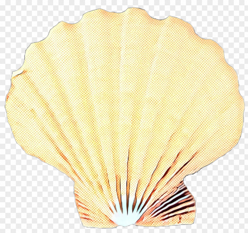 Shellfish Bivalve Seashell Yellow PNG