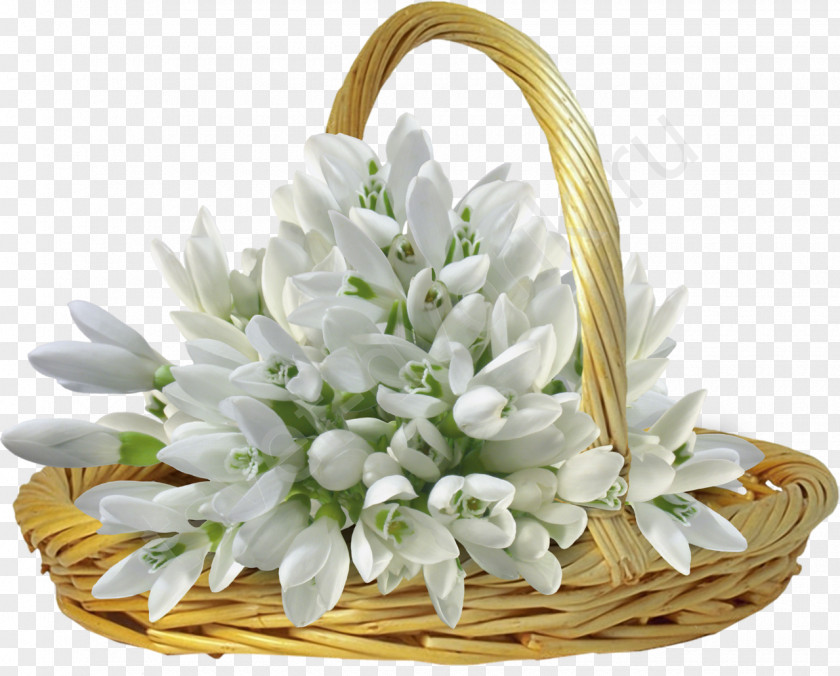 Snowdrop Flower Bouquet PNG