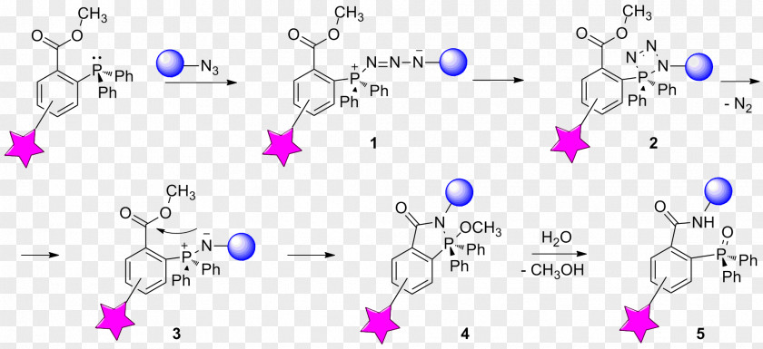 Staudinger Reaction Bioorthogonal Chemistry Chemical Ligation PNG