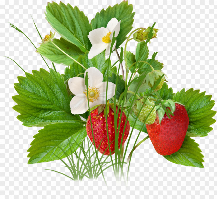 Strawberries Strawberry Fruit Clip Art PNG