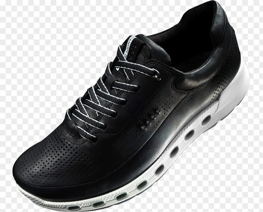 Adidas ECCO Shoe Sneakers Footwear Gore-Tex PNG