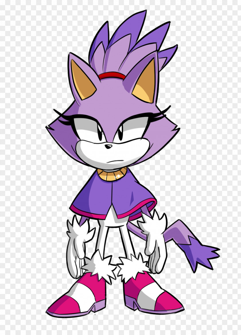 Blaze The Cat Sonic Hedgehog Fan Art PNG