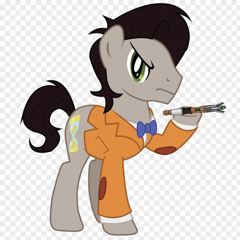 Doctor Pony Eleventh Rarity PNG