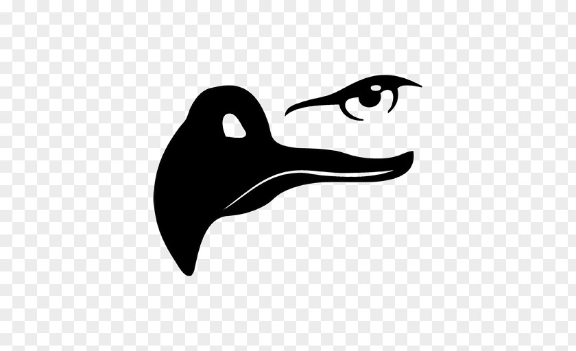 Eagle Bald Eye Beak PNG