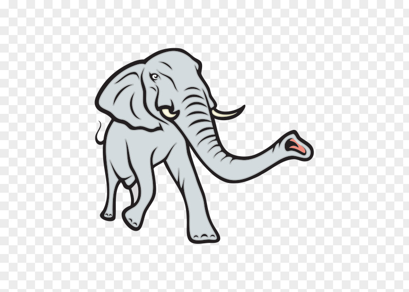 Elephant Indian African Mammoth Cat PNG