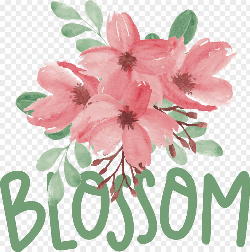 Floral Design PNG