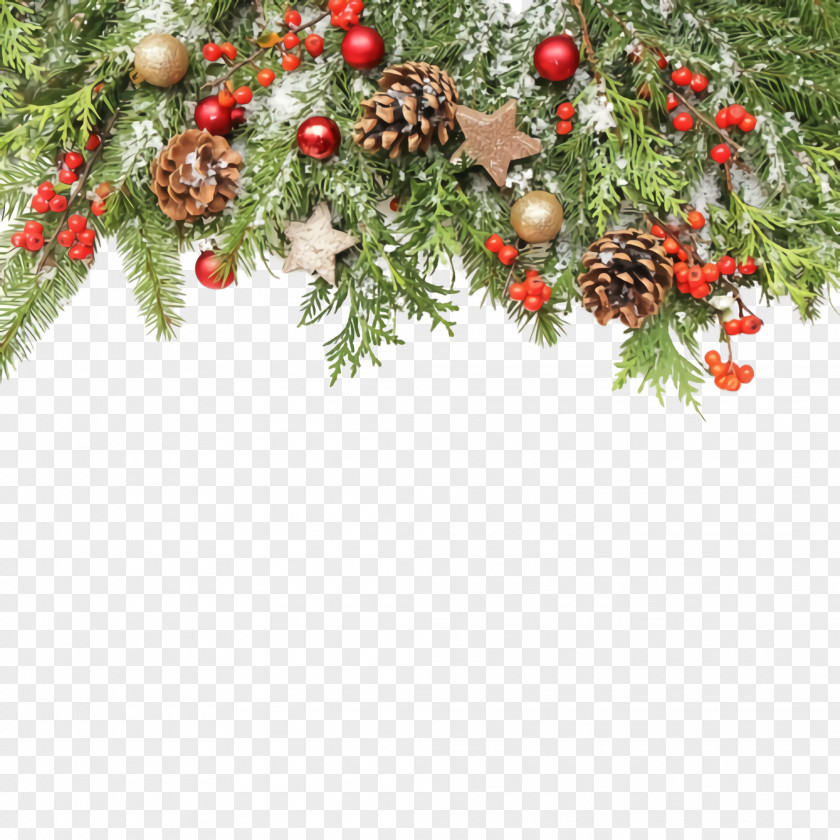 Evergreen Pine Christmas Decoration PNG