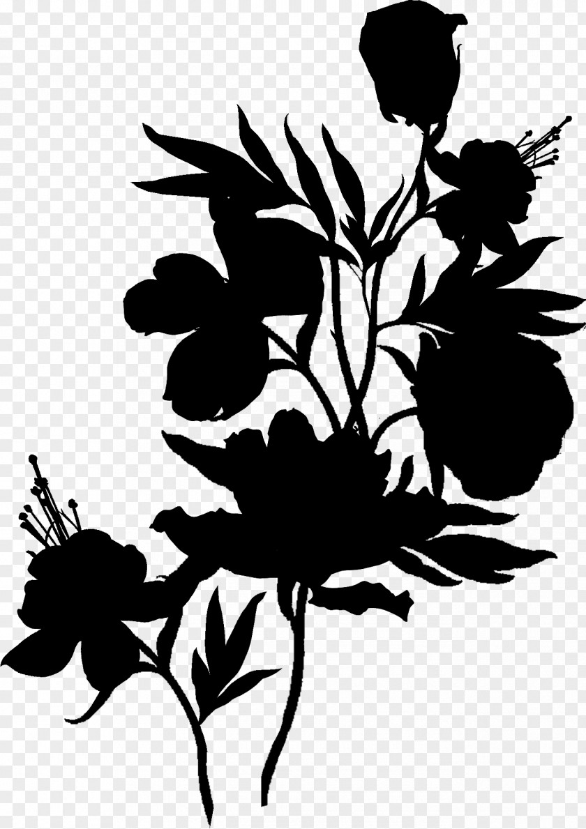 Floral Design Clip Art Pattern Monochrome PNG