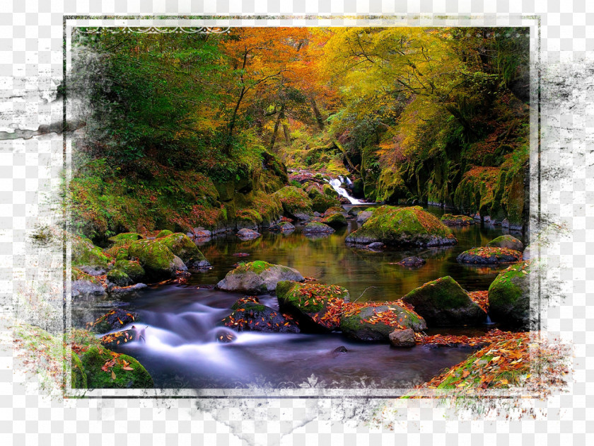 Autumn Desktop Wallpaper Landscape Forest Stream PNG