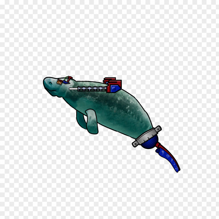 Dolphin Porpoise Plastic Cetacea PNG