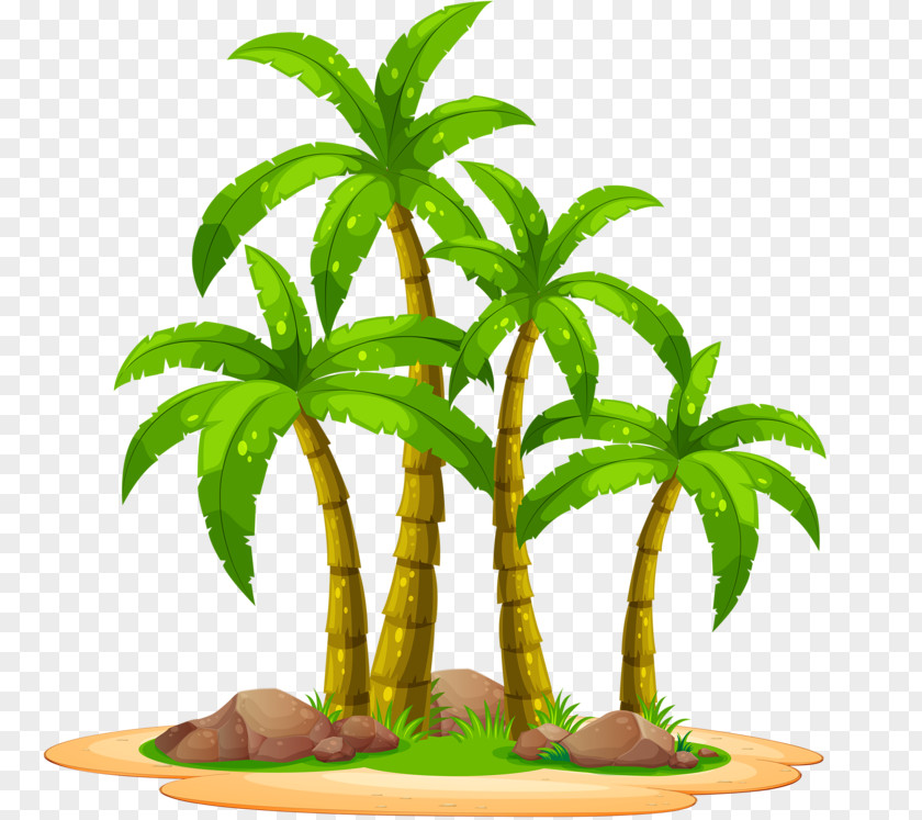 Four Palm PNG