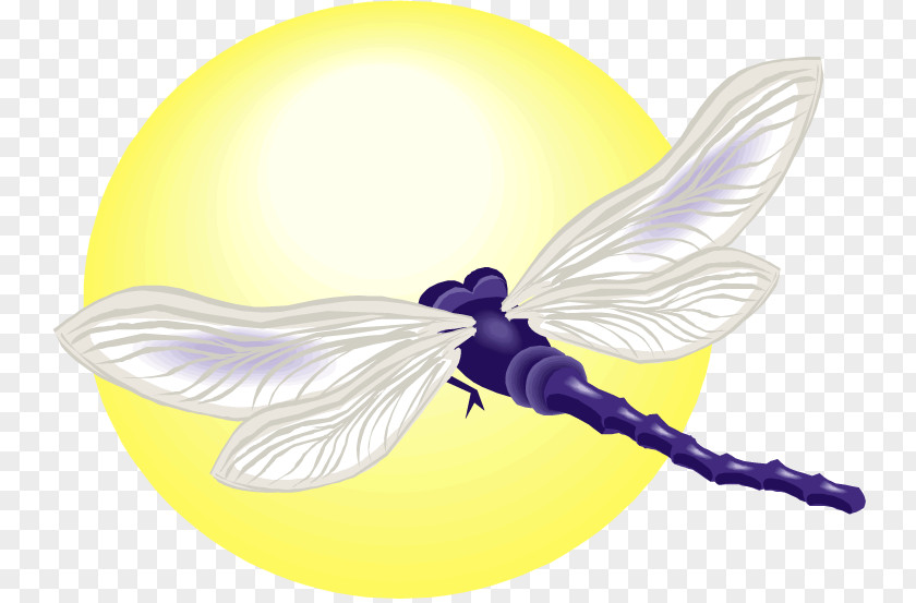 Insect Character Fiction PNG