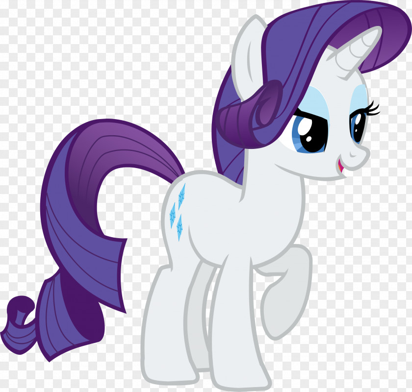My Little Pony Rarity Twilight Sparkle Rainbow Dash Applejack Spike PNG