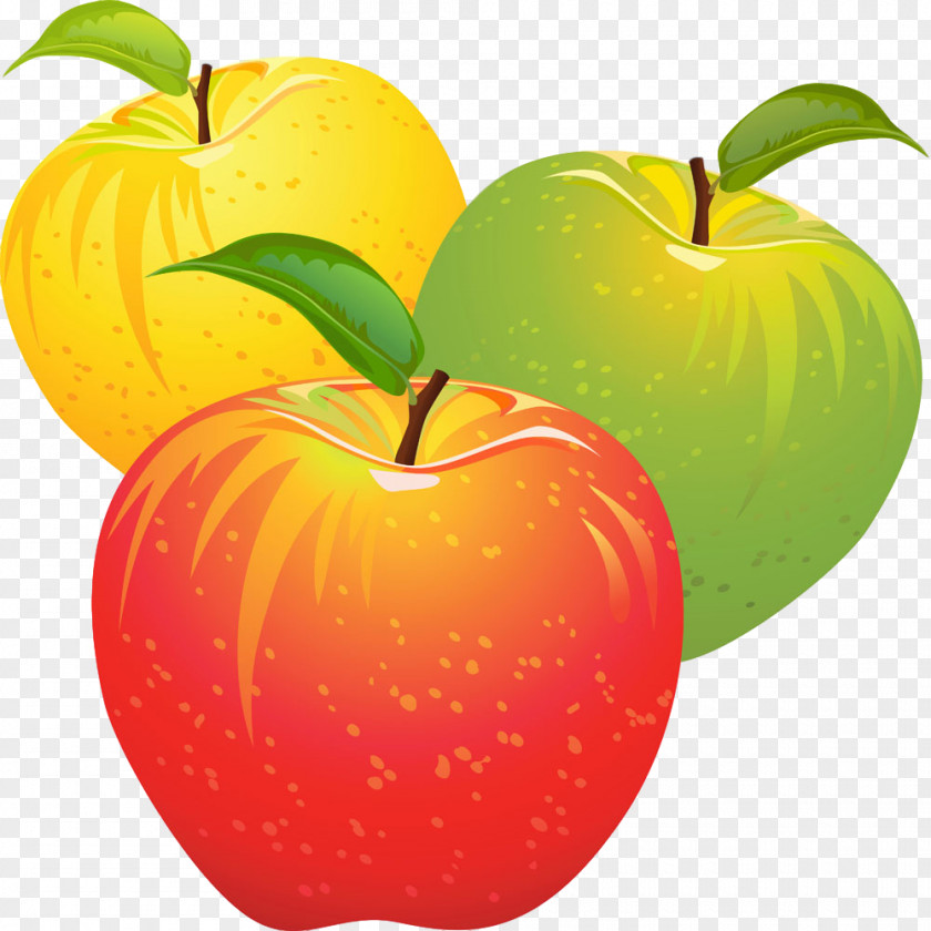 Orange PNG