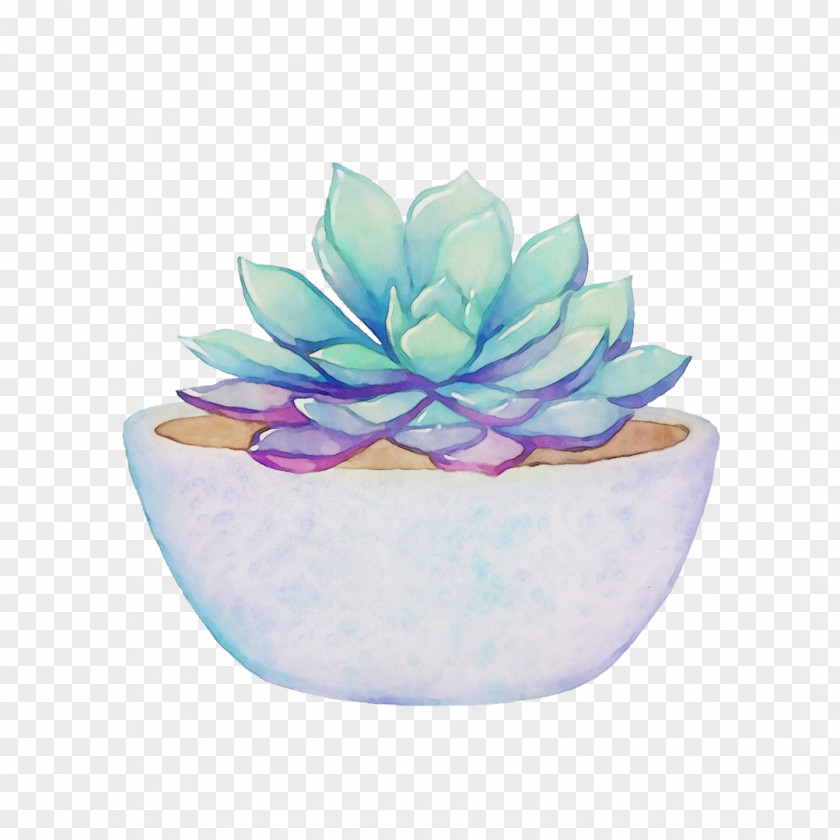 Watercolor Painting Pastel Succulent Plant Clip Art PNG