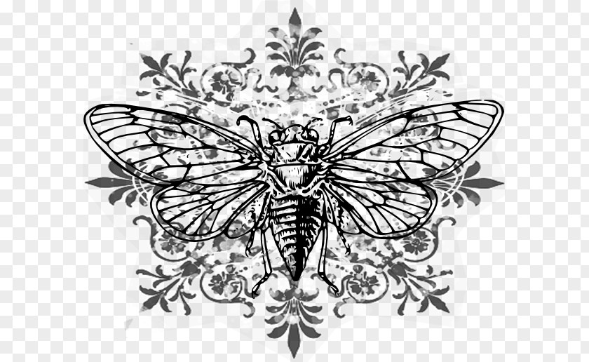 Cicada Brush-footed Butterflies Line Art Visual Arts Drawing Blue Microphones SNOWFLAKE USB Condenser Microphone PNG