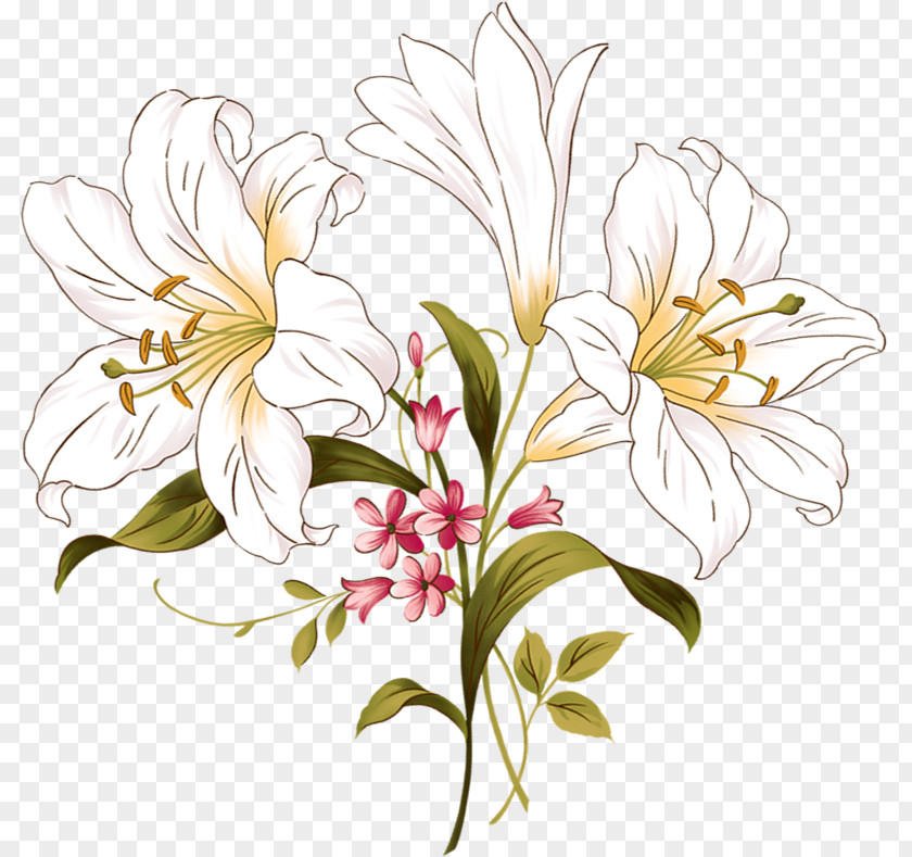 Design Floral Lilium Flower PNG