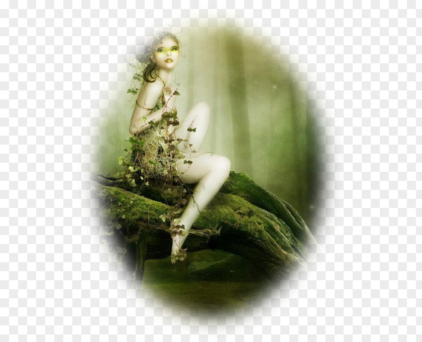 Fairy Dryad Magic Fantasy Nymph PNG