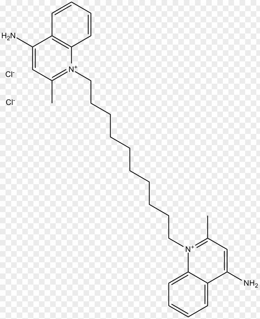 In Silico Chemistry Vivo Doctor Of Philosophy Vitro PNG