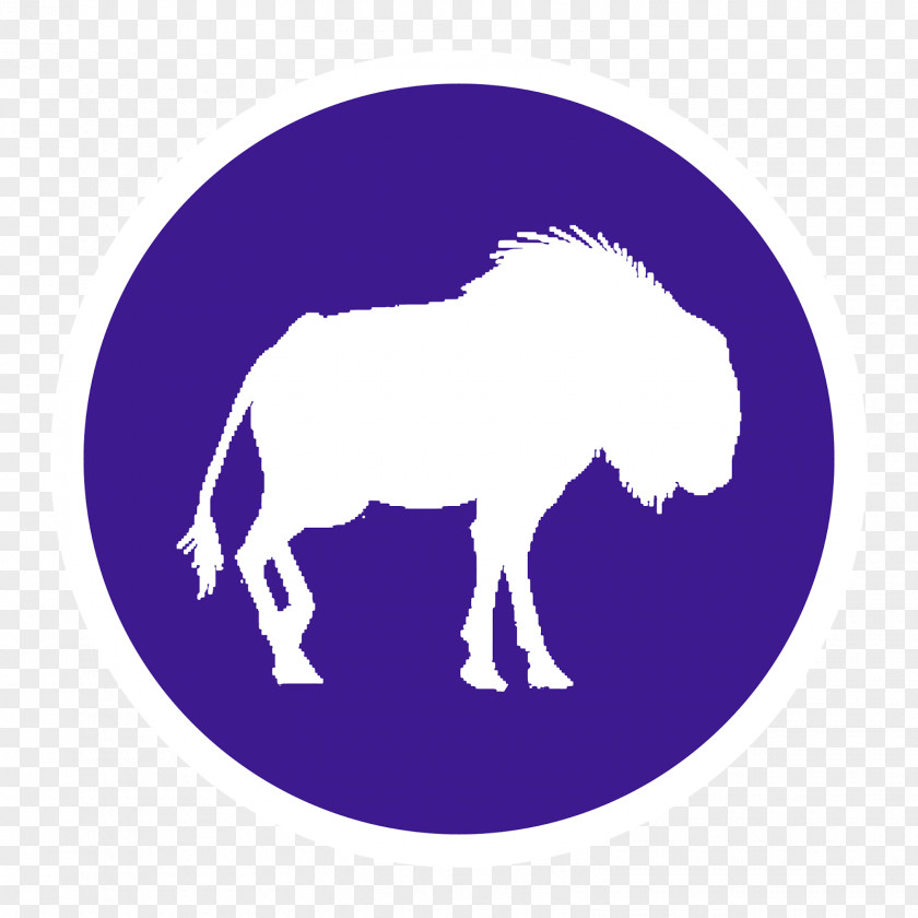 Mustang Pony Pack Animal Freikörperkultur Clip Art PNG
