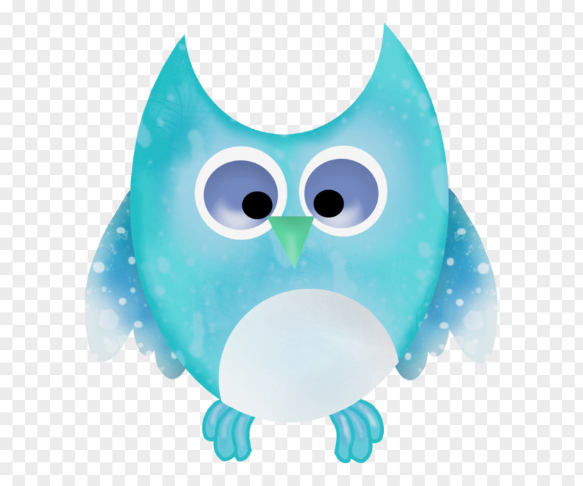 Owl Turquoise Beak PNG