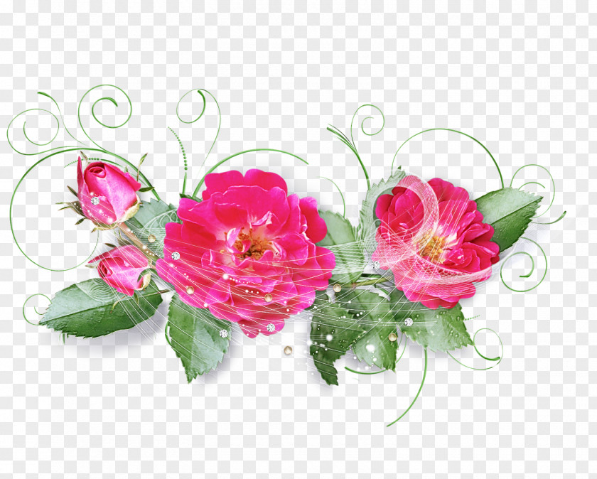 Rose Family Bouquet PNG