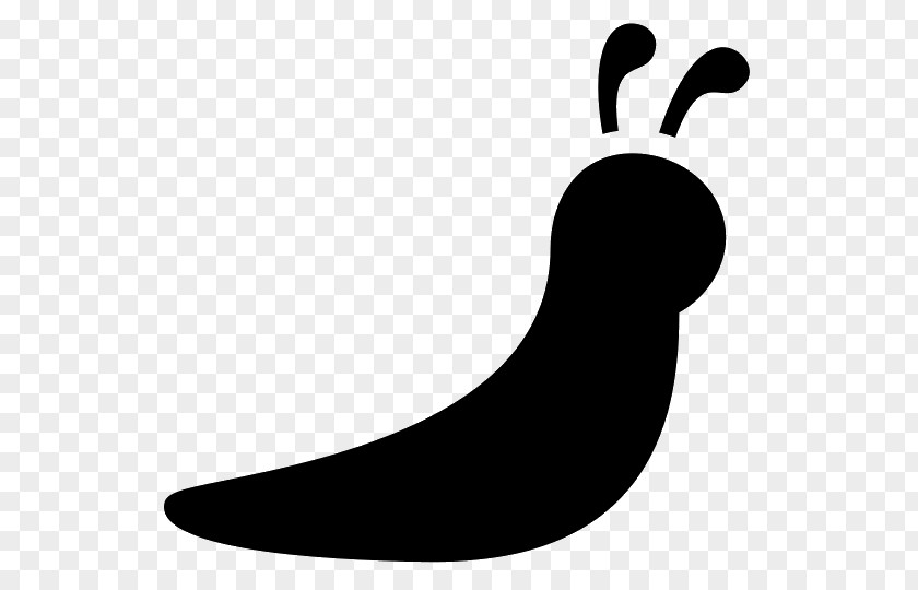 Snail Slug Clip Art PNG