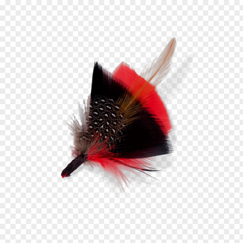 Feather Material Goorin Bros. Hat Insect Design Color PNG