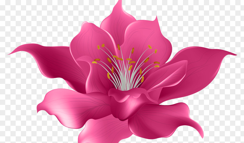 Flowers Board Art Desktop Wallpaper Clip PNG
