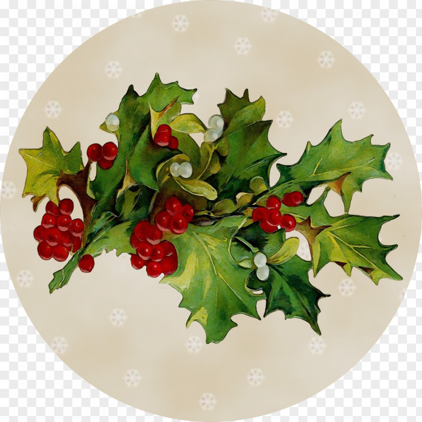 Hawthorn Branch Holly PNG